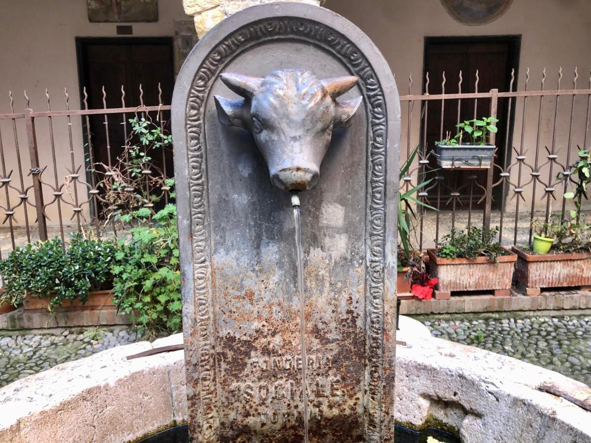 Appartamento Ai Piedi Della Pigna Sanremo Exteriér fotografie
