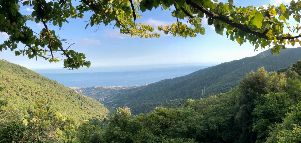 Appartamento Ai Piedi Della Pigna Sanremo Exteriér fotografie